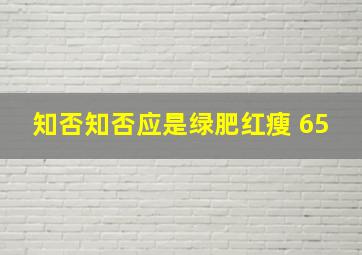 知否知否应是绿肥红瘦 65